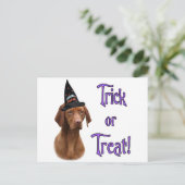 Vizsla Trick Postkarte (Stehend Vorderseite)