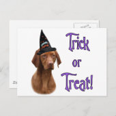 Vizsla Trick Postkarte (Vorne/Hinten)