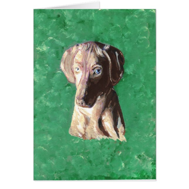 Vizsla, Ungarisch Pointer (Vorne)