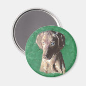 Vizsla, Ungarisch Pointer Magnet (Vorderseite/Rückseite)