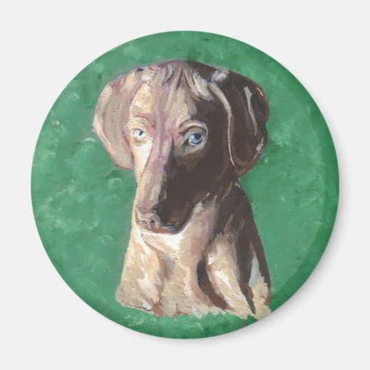 Vizsla, Ungarisch Pointer Magnet (Vorne)