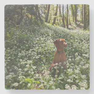 Vizsla-Untersetzer Steinuntersetzer