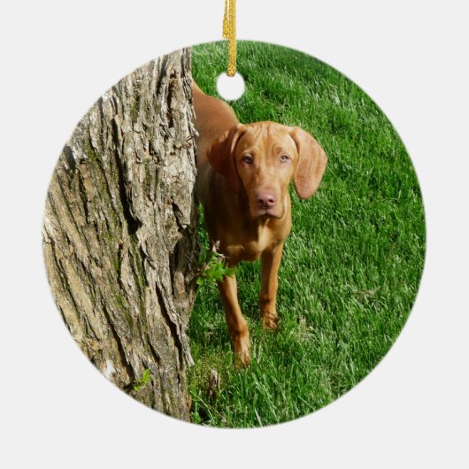 Vizsla Verzierung Keramik Ornament (Hinten)