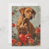 Vizsla Vintag Valentinstag Feiertagskarte (Vorderseite)