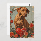 Vizsla Vintag Valentinstag Postkarte (Vorne/Hinten)