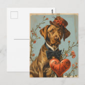Vizsla Vintag Valentinstag Postkarte (Vorne/Hinten)