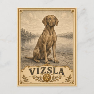 Vizsla, Vintage Heritage Hund Postkarte