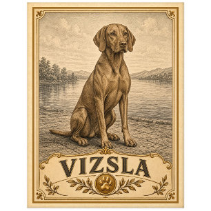 Vizsla, Vintage Heritage Hund Postkarte
