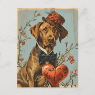 Vizsla Vintage Valentinstag Postkarte