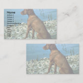 Vizsla Visitenkarte (Vorne/Hinten)