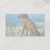 Vizsla Visitenkarte (Rückseite)