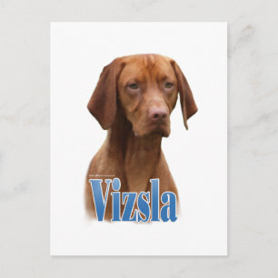 Vizsla; Vizsla Dog Breed; Vizsla dog; Vizsla Breed Postkarte