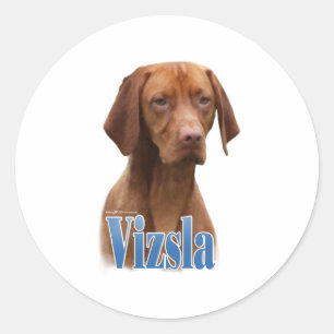 Vizsla; Vizsla Dog Breed; Vizsla dog; Vizsla Breed Runder Aufkleber