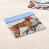 vizsla voll rechteckiger pappuntersetzer (angewinkelt)