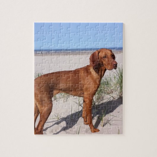 Vizsla Vollbild Puzzle (Vertikal)