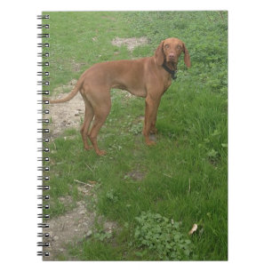 Vizsla Vollständig Notizblock