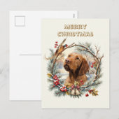 Vizsla Weihnachten (Vorne/Hinten)