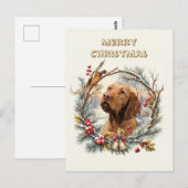 Vizsla Weihnachten Postkarte (Vorne/Hinten)
