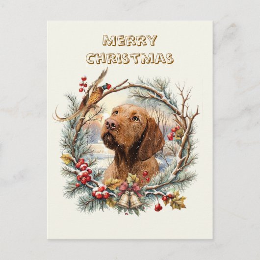 Vizsla Weihnachten Postkarte (Vorderseite)