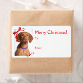 Vizsla Weihnachtsgeschenke Stickers (Insitu)