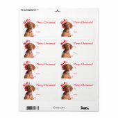 Vizsla Weihnachtsgeschenke Stickers (Vorne)