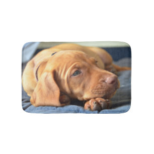 Vizsla Welpe, der auf seiner Tatze stillsteht Badematte