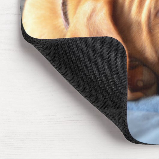 Vizsla Welpe, der auf seiner Tatze stillsteht Mousepad (Ecke)
