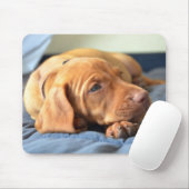 Vizsla Welpe, der auf seiner Tatze stillsteht Mousepad (Mit Mouse)