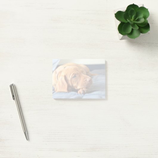 Vizsla Welpe, der auf seiner Tatze stillsteht Post-it Klebezettel (Büro)