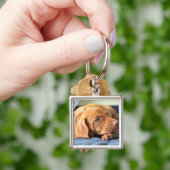 Vizsla Welpe, der auf seiner Tatze stillsteht Schlüsselanhänger (Hand)