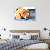 Vizsla Welpe, die auf der Paw Leinwanddruck (Insitu (Schlafzimmer))