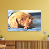 Vizsla Welpe, die auf der Paw Leinwanddruck (Insitu (Wohnzimmer))