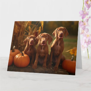 Vizsla-Welpe Herbstfreude Kürbis Karte