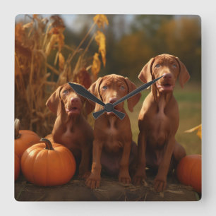Vizsla-Welpe Herbstfreude Kürbis Quadratische Wanduhr