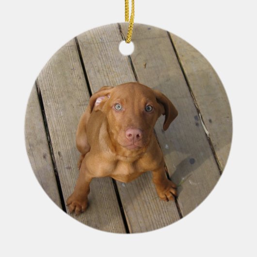 Vizsla Welpe Keramikornament (Vorne)