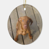 Vizsla Welpe Keramikornament (Links)