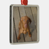 Vizsla Welpe Ornament Aus Metall (Rechts)