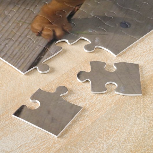 Vizsla Welpe Puzzle (Seite)