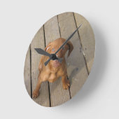 Vizsla Welpe Runde Wanduhr (Winkel)