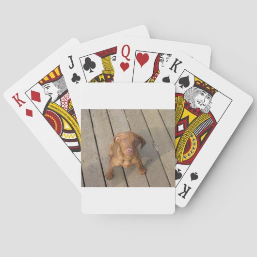Vizsla Welpe Spielkarten (Rückseite)
