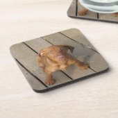 Vizsla Welpe Untersetzer (Linke Seite)