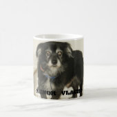 Vlacho Tasse (Mittel)