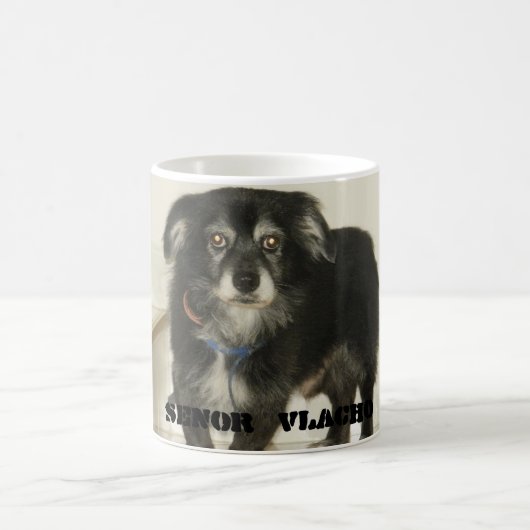 Vlacho Tasse (Mittel)