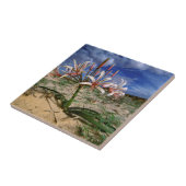 Vlei Lilie (Nerine Laticoma) in Blume Fliese (Seite)