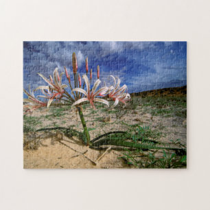 Vlei-Lilie (Nerine Laticoma) in Blüte Puzzle