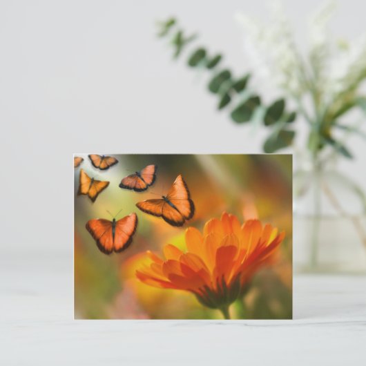 vlinder postkarte (Stehend Vorderseite)