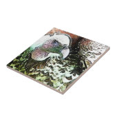 VOD OF PREVULTURE FLIESE (Seite)