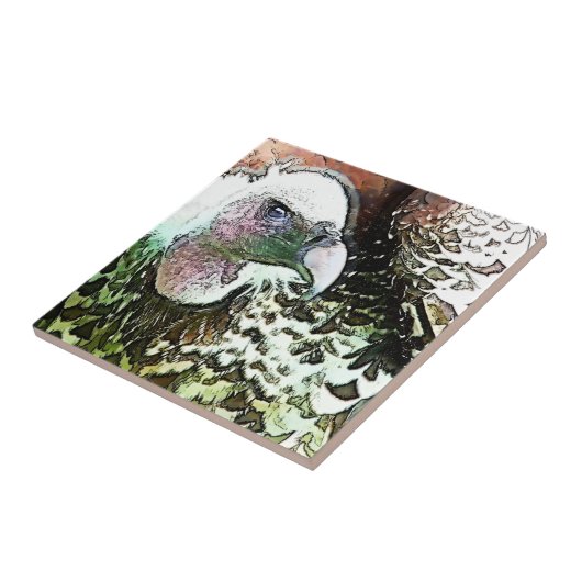 VOD OF PREVULTURE FLIESE (Seite)