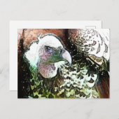 VOD OF PREVULTURE POSTKARTE (Vorne/Hinten)