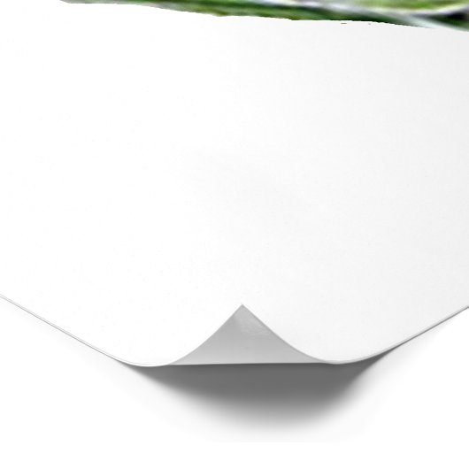 Vodka Limon POSTER Print (Ecke)